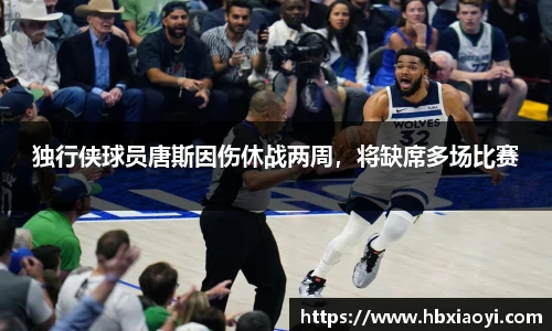 独行侠球员唐斯因伤休战两周，将缺席多场比赛