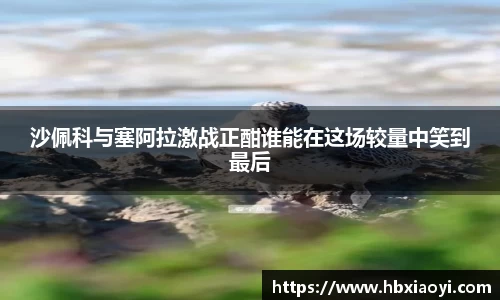 沙佩科与塞阿拉激战正酣谁能在这场较量中笑到最后