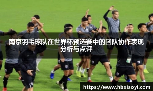 南京羽毛球队在世界杯预选赛中的团队协作表现分析与点评